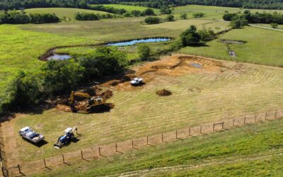 Crocodile Housing Facility – A Vision Coming to Life